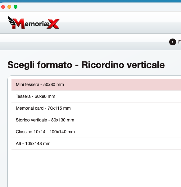 Formati ricordini MemoriæX